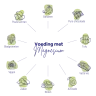 Diagram met bronnen van magnesiumrijke voedingsmiddelen: peulvruchten, bananen, pure chocolade, tofu, vette vis, avocado, noten, zaden, vijgen en bladgroenten, naast producten zoals Vitakruid - Magnesium 200 Complex® (90 tabletten). miniatuur