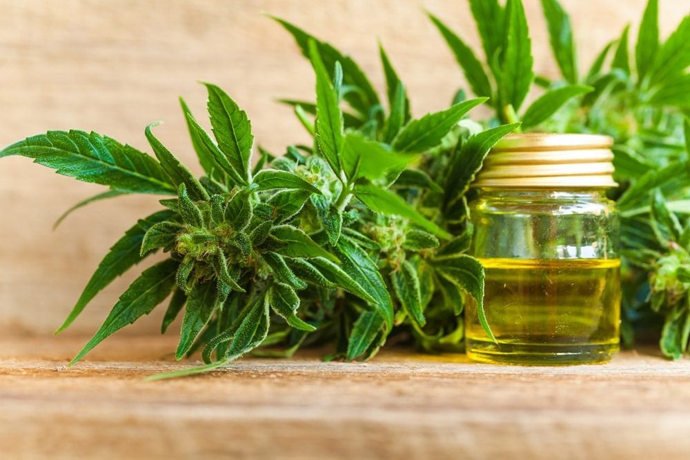 6 hardnekkige misvattingen over CBD
