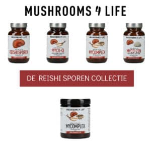 Medicinale-paddenstoelen-Reishi-LionsMane-Maitake-Cordyceps