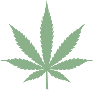 een marihuanablad wordt getoond op een zwarte achtergrond.