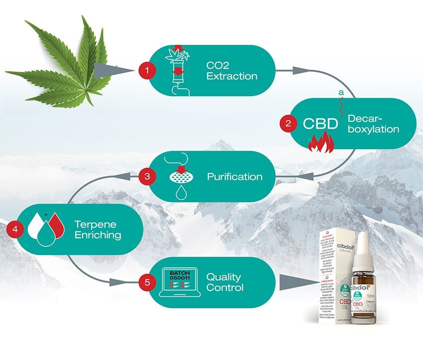 Productieproces van Cibdol CBD olie