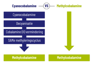 Stroomdiagram dat Cyanocobalamine en Methylcobalamine vergelijkt. Cyanocobalamine omvat processen: decyanering, Cobalamine (II) reductie, SAMe methyleringscyclus. Pijlen leiden naar Methylcobalamine.